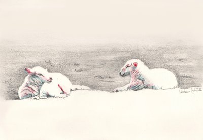 昼寝、2016、（鉛筆画） 作： Helen White