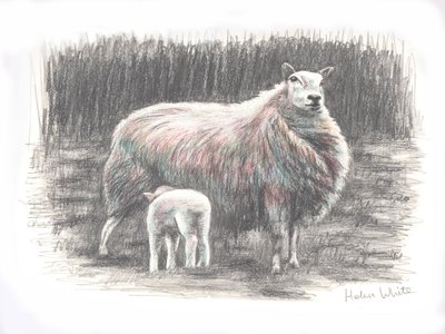 プラウド、2016、（鉛筆画） 作： Helen White