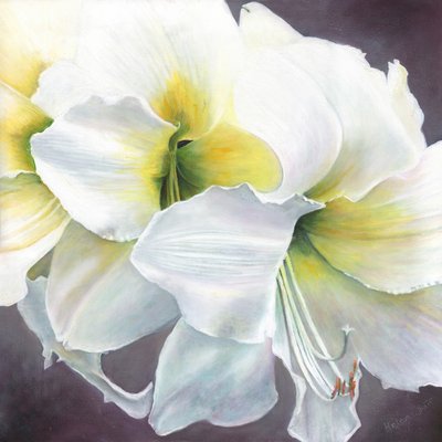 純粋な可能性、2016、 作： Helen White