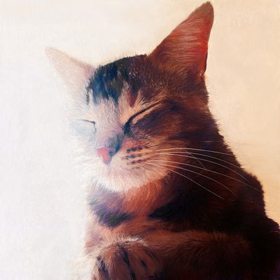 ゴロゴロスポット、2018 作： Helen White