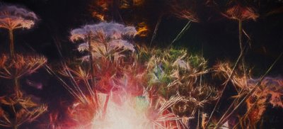 Radiant Hedgerow、2018年 作： Helen White
