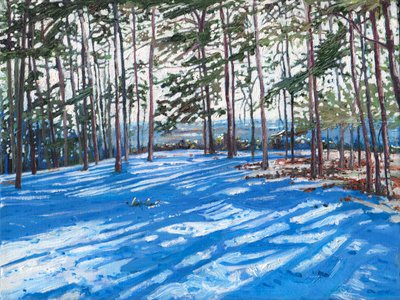 雪に覆われた尾根、2009 作： Helen White