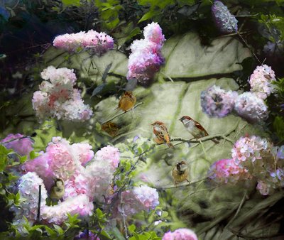 春のスズメ、2020 作： Helen White