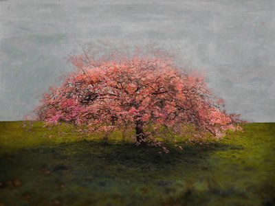 スタンドアローンビューティ、2019年 作： Helen White