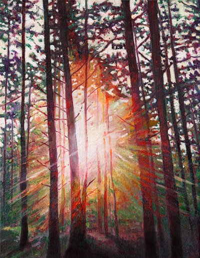 サンバースト、2010 作： Helen White
