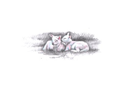 双子、2016、（鉛筆画） 作： Helen White