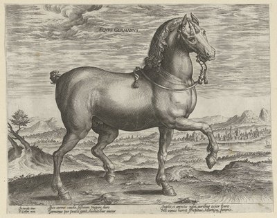 ドイツの種牡馬 Eqvvs Germanvs (オブジェクトのタイトル) オーストリアのドン ファンの王室厩舎の馬の品種 (シリーズ タイトル) Equile Ioannis Austriaci Caroli (シリーズタイトル) 作： Hendrick Goltzius (possibly)