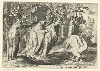 ファエトンの姉妹はポプラに、彼の友人は白鳥に変わる Ovid