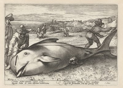 座礁したクジラを測定する 2 人の男性 作： Hendrick Goltzius (workshop of)