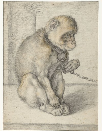 鎖につながれた猿 鎖につながれた猿、座る 作： Hendrick Goltzius
