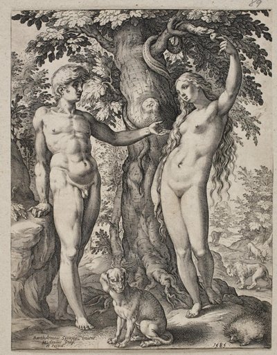 アダムとイブ 作： Hendrick Goltzius
