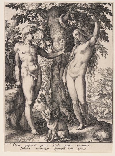 人間の堕落 作： Hendrick Goltzius