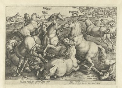 12頭の闘馬 オーストリアのドン ファンの王室厩舎の馬の品種 (シリーズ タイトル) 作： Hendrick Goltzius