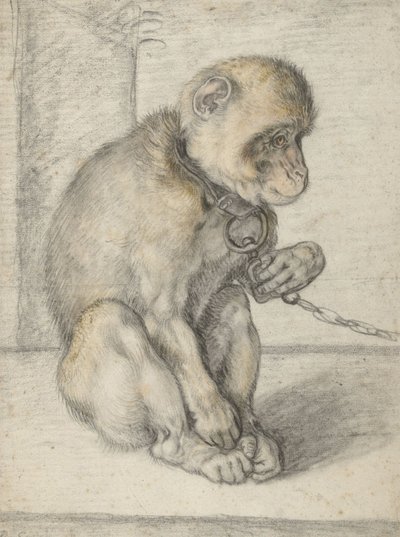 鎖に座った猿、1592-1602（黒、黄土色、赤のチョーク） 作： Hendrik Goltzius