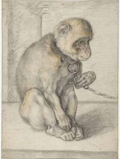 チェーンに座っている猿。 1592-1602 作： Hendrik Goltzius