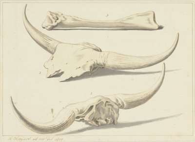 1809 年に洪水で発見されたオーロックスの化石 作： Hendrik Hoogers