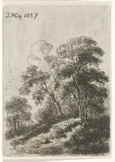 丘の上の木々 作： Hendrik Jan Hein