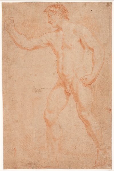 男性モデル研究、立っている、腕を上げている 作： Hendrik Krock