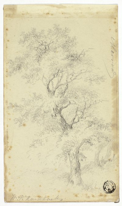 メロン 作： Hendrik Pieter Koekkoek