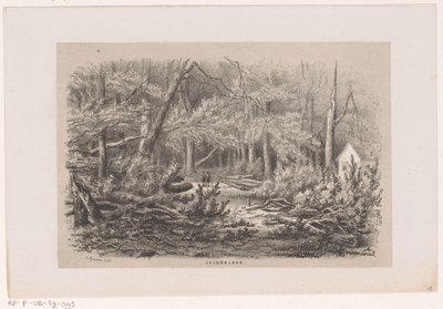 1860 年 5 月 28 日の嵐の後、ヤコバラーンの倒木 Jacobalaan (オブジェクトのタイトル) 1860 年 5 月 28 日の嵐の影響を受けたトネーレン ファン デ フェルウォスティングを描いた 10 枚のリトグラフ スケッチのアルバム 作： Hendrik Wilhelmus Last