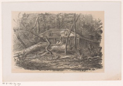 1860 年 5 月 28 日の嵐の後、Buitenlust 近くの吹き倒された木 屋外の欲望 (オブジェクトのタイトル) 1860 年 5 月 28 日の嵐の影響を受けたトネーレン ファン デ フェルウォスティングを描いた 10 枚のリトグラフ スケッチのアルバム 作： Hendrik Wilhelmus Last