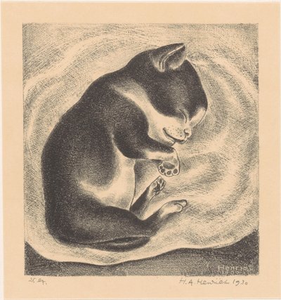眠っている若い猫 作： Henk Henriët (signed by artist)