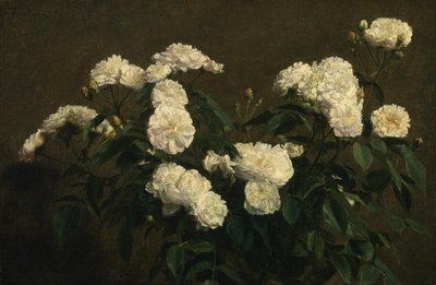 白いバラの静物 作： Henri Fantin-Latour