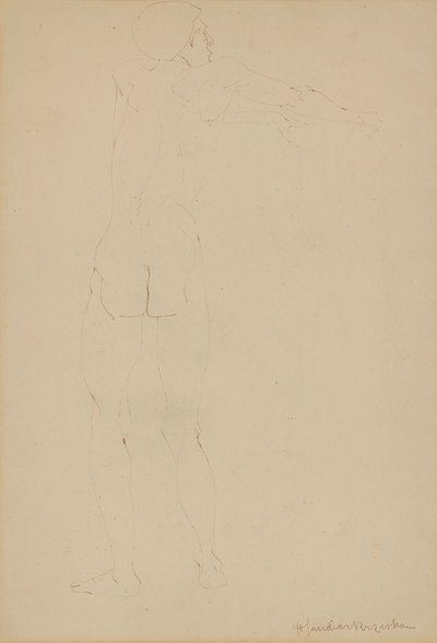 男性ヌード（紙にペン） 作： Henri Gaudier Brzeska