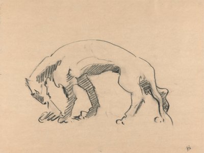 プロフィールのライオネス 作： Henri Gaudier Brzeska