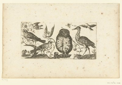 9羽の鳥と昆虫 鳥（シリーズタイトル） 作： Henri Le Roy