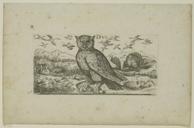 フクロウと他の鳥 鳥（シリーズタイトル） 作： Henri Le Roy