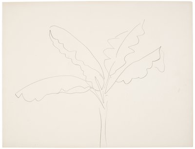 バナナの木（タヒチ） 作： Henri Matisse