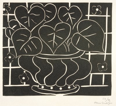 ベゴニアの鉢 I 作： Henri Matisse