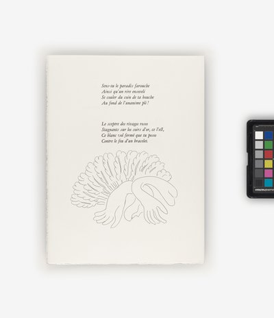 詩 作： Henri Matisse