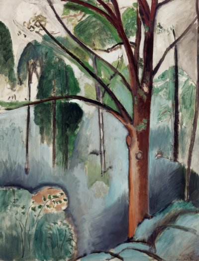 トリヴォーの湖の木々 作： Henri Matisse