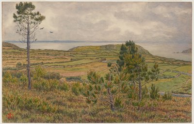 作： Henri Rivière