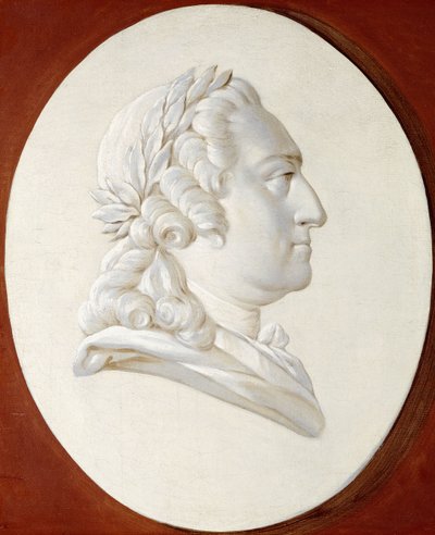 トロンプ・ルイユのメダリオン、塗装された楕円形のバスト丈のルイ15世の肖像画 作： Henri Roland de la Porte