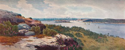「ヴォクリューズからのシドニー」、c1906 作： Henri Tebbitt