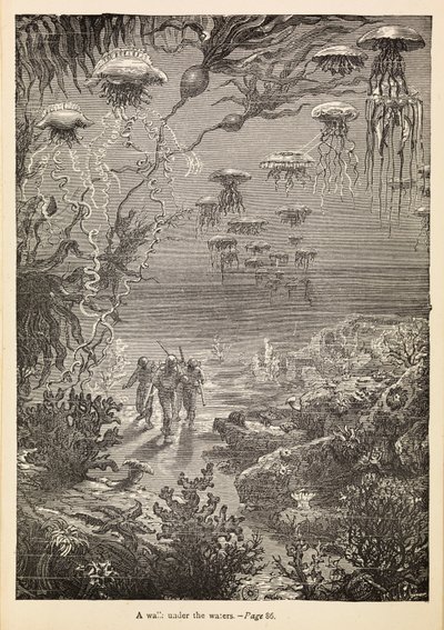 海底散歩」（『海底二万里』より）1870年頃（エングレーヴィング 作： Henri Theophile Hildibrand