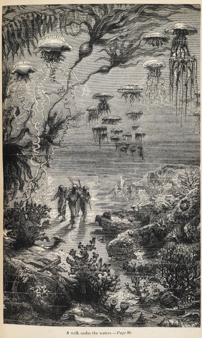 ジュール・ヴェルヌ作「海底二万里」の挿絵 作： Henri Theophile Hildibrand