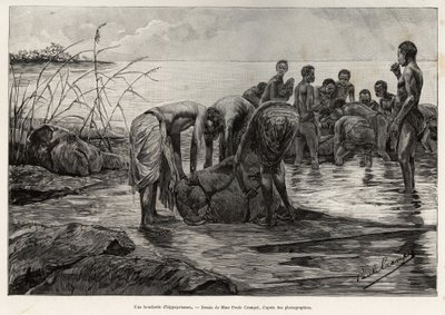 中央アフリカの川岸にあるカバの精肉店。アルベール・ネブウト（1862-1939）が1890年に発表した物語 "La mission Crampel "をアンリ・ティリアが描いたもので、エドゥアール・シャルトン（1807-1891）が監督した『Le tour du Monde 1892』に収録されています。 作： Henri Thiriat