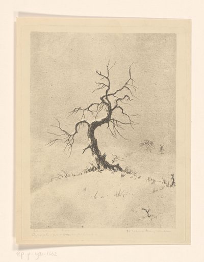孤独な木 (オブジェクトの元のタイトル) 作： Henri Verstijnen (signed by artist)
