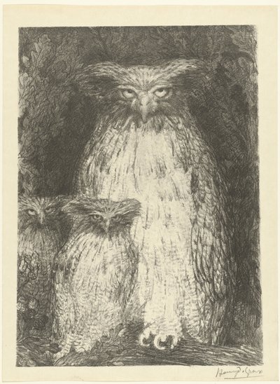 枝に座っている 2 つのフクロウの雛とフクロウ 3羽のフクロウの研究 レプルーヴ（シリーズタイトル） 作： Henri de Groux