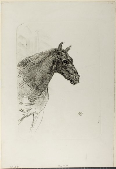 ポニーのフィリバート 作： Henri de Toulouse-Lautrec