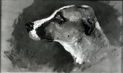 耳の短い犬の頭、1879年 作： Henri de Toulouse Lautrec