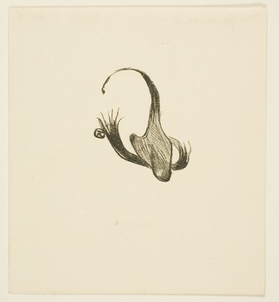 シナイの麓でのテイルピース 作： Henri de Toulouse Lautrec