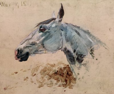 ホワイトホース「ガゼル」、1881 作： Henri de Toulouse Lautrec