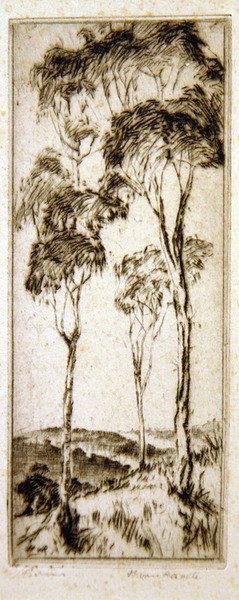 ゴムの木（銅版画） 作： Henri van Raalte