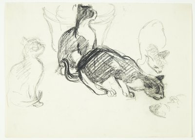 猫と学ぶ雑誌 作： Henrik Schouboe
