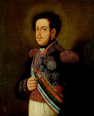D.ペドロ1世の肖像 作： Henrique Jose da Silva